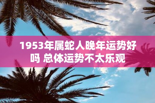 1953年属蛇人晚年运势好吗 总体运势不太乐观