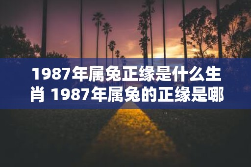 1987年属兔正缘是什么生肖 1987年属兔的正缘是哪生肖