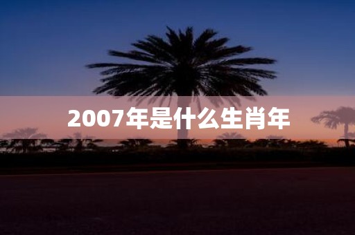 2007年是什么生肖年