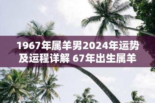 1967年属羊男2025年运势及运程详解 67年出生属羊人2025全年每月运势男性