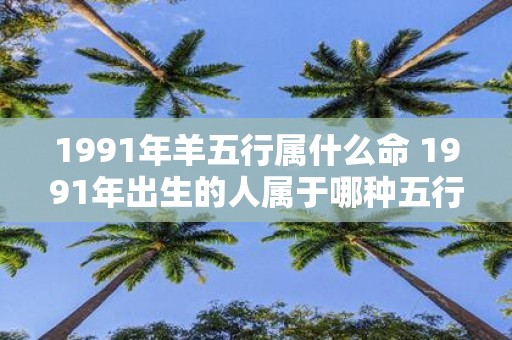 1991年羊五行属什么命 1991年出生的人属于哪种五行命