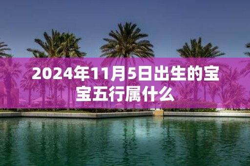 2025年11月5日出生的宝宝五行属什么