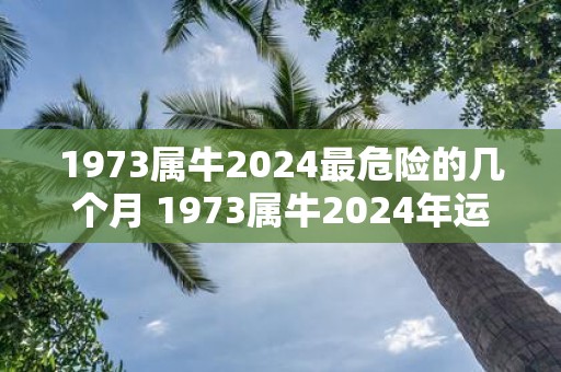 1973属牛2025最危险的几个月 1973属牛2025年运程