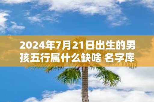 2025年7月21日出生的男孩五行属什么缺啥 名字库精选