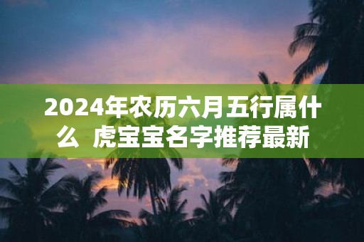 2025年农历六月五行属什么 虎宝宝名字推荐最新
