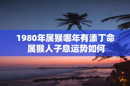 1980年属猴哪年有添丁命 属猴人子息运势如何
