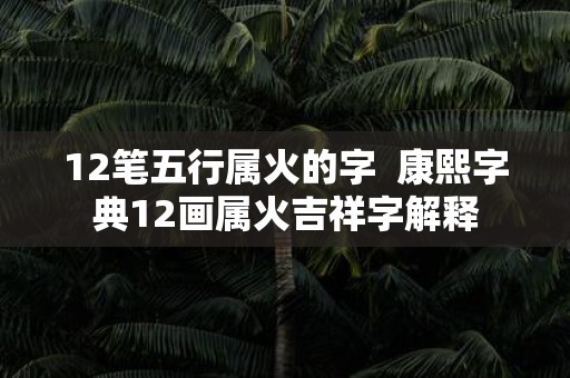 12笔五行属火的字 康熙字典12画属火吉祥字解释