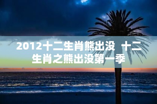 2012十二生肖熊出没 十二生肖之熊出没第一季