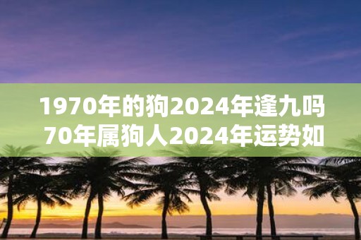 1970年的狗2025年逢九吗 70年属狗人2025年运势如何