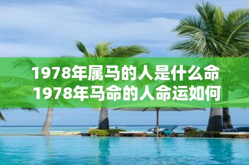 1978年属马的人是什么命 1978年马命的人命运如何