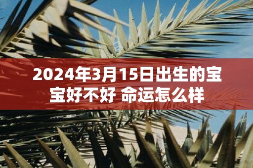 2025年3月15日出生的宝宝好不好 命运怎么样