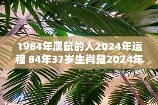 1984年属鼠的人2025年运程 84年37岁生肖鼠2025年运势