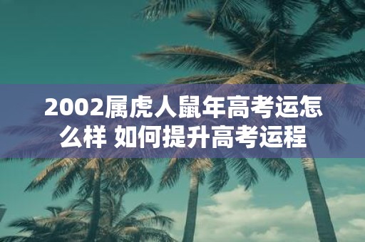 2002属虎人鼠年高考运怎么样 如何提升高考运程