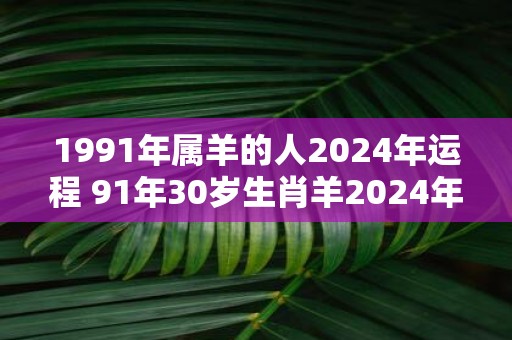 1991年属羊的人2025年运程 91年30岁生肖羊2025年运势