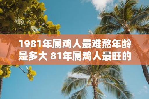1981年属鸡人最难熬年龄是多大 81年属鸡人最旺的年龄