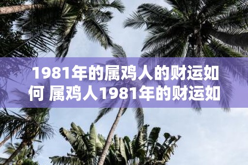 1981年的属鸡人的财运如何 属鸡人1981年的财运如何