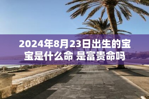 2025年8月23日出生的宝宝是什么命 是富贵命吗