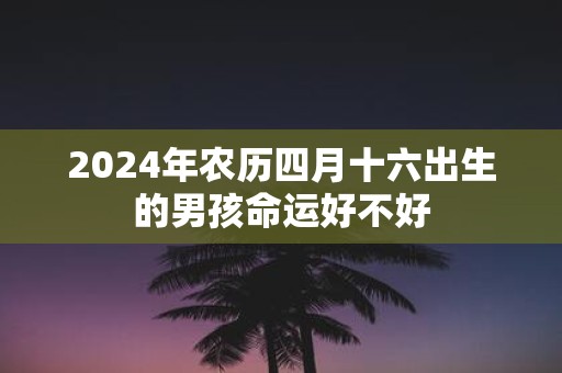 2025年农历四月十六出生的男孩命运好不好