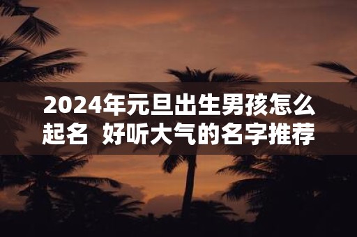 2025年元旦出生男孩怎么起名 好听大气的名字推荐