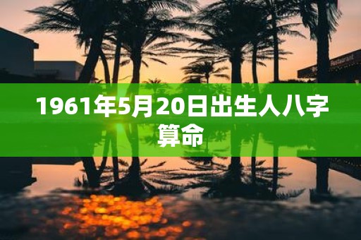 1961年5月20日出生人八字算命