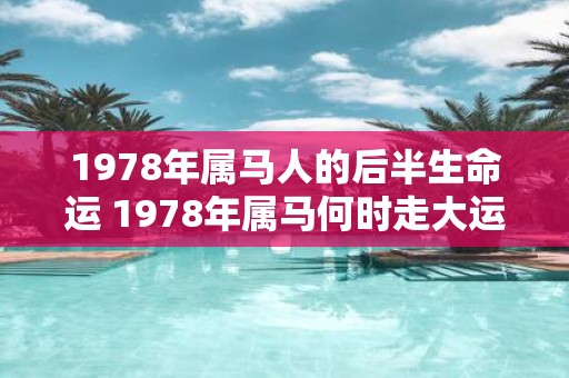1978年属马人的后半生命运 1978年属马何时走大运