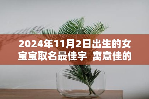 2025年11月2日出生的女宝宝取名最佳字 寓意佳的名字大全