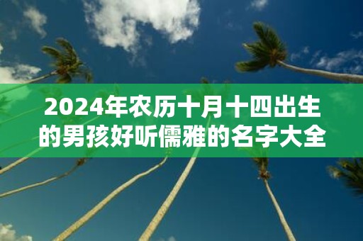 2025年农历十月十四出生的男孩好听儒雅的名字大全