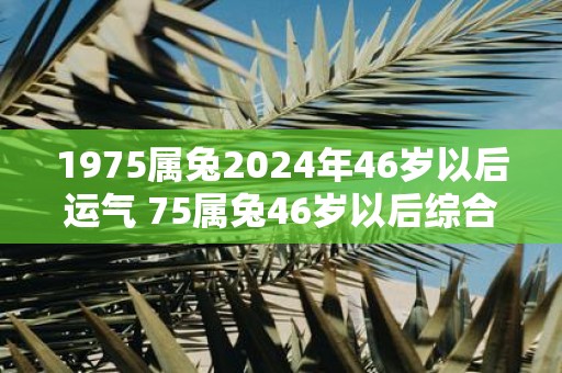 1975属兔2025年46岁以后运气 75属兔46岁以后综合运势