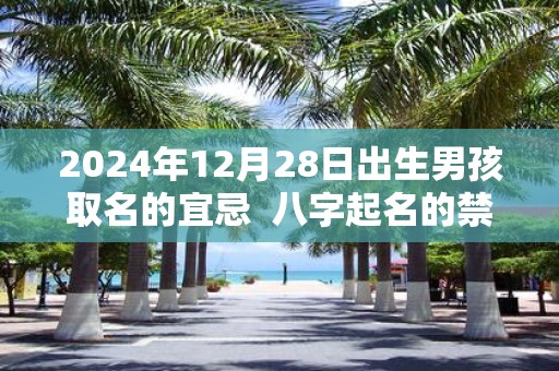 2025年12月28日出生男孩取名的宜忌 八字起名的禁忌