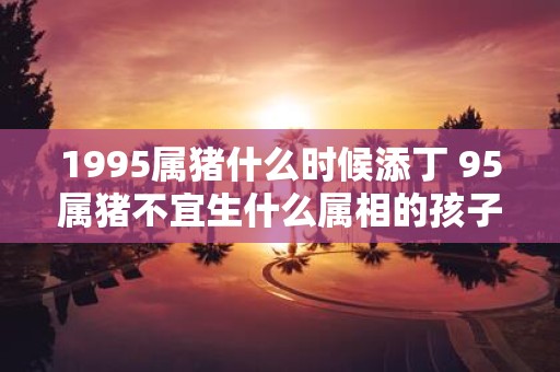 1995属猪什么时候添丁 95属猪不宜生什么属相的孩子