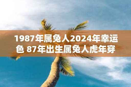 1987年属兔人2025年幸运色 87年出生属兔人虎年穿什么颜色衣服好