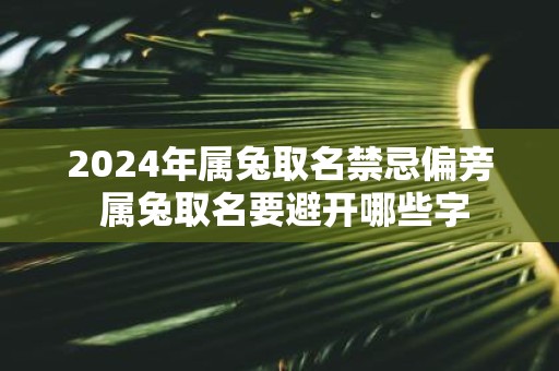 2025年属兔取名禁忌偏旁 属兔取名要避开哪些字