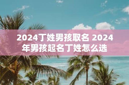 2025丁姓男孩取名 2025年男孩起名丁姓怎么选