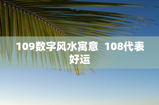 109数字风水寓意 108代表好运