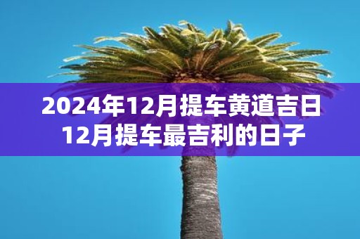2025年12月提车黄道吉日 12月提车最吉利的日子