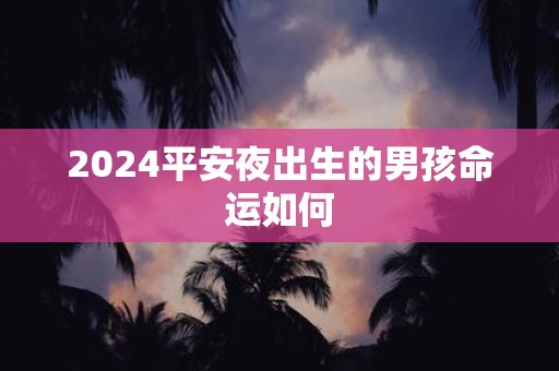2025平安夜出生的男孩命运如何