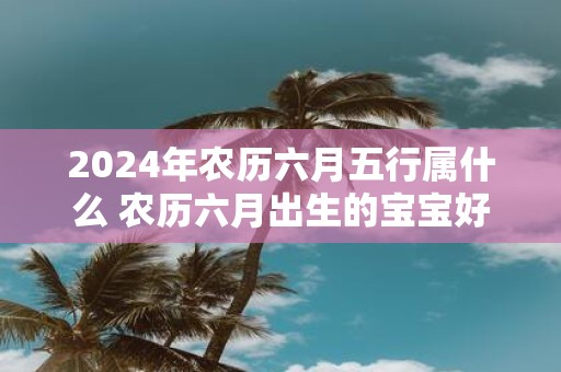 2025年农历六月五行属什么 农历六月出生的宝宝好不好
