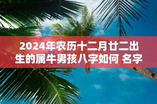 2025年农历十二月廿二出生的属牛男孩八字如何 名字推荐