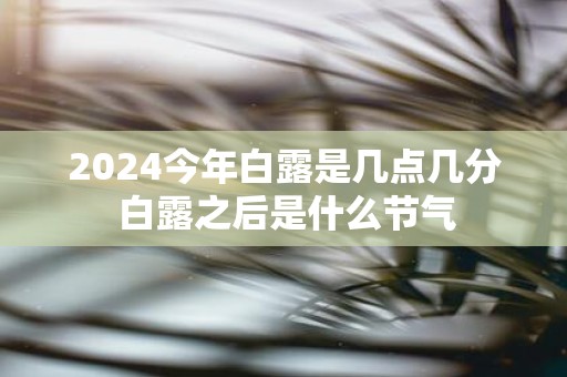 2025今年白露是几点几分 白露之后是什么节气