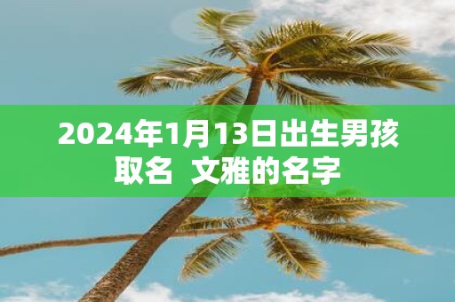 2025年1月13日出生男孩取名 文雅的名字