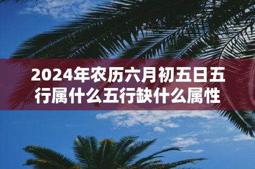 2025年农历六月初五日五行属什么五行缺什么属性