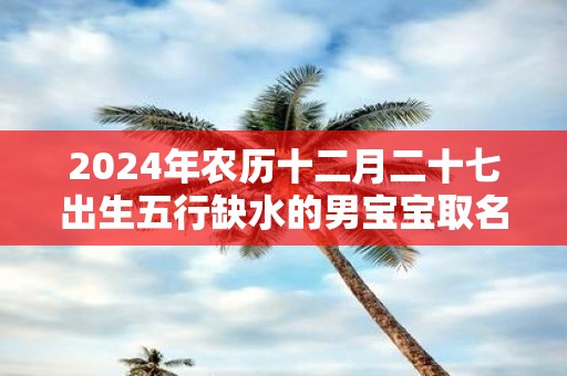 2025年农历十二月二十七出生五行缺水的男宝宝取名字