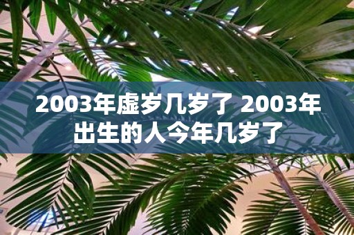 2003年虚岁几岁了 2003年出生的人今年几岁了