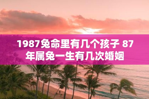 1987兔命里有几个孩子 87年属兔一生有几次婚姻