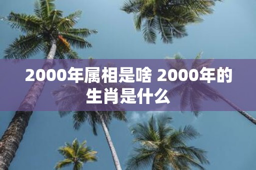 2000年属相是啥 2000年的生肖是什么