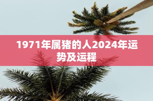 1971年属猪的人2025年运势及运程
