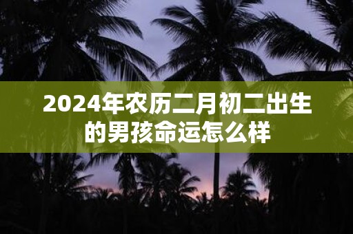 2025年农历二月初二出生的男孩命运怎么样