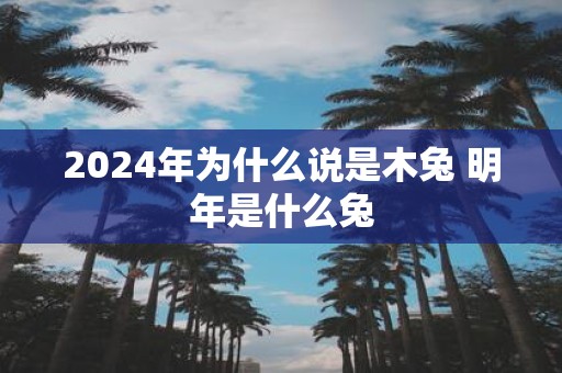 2025年为什么说是木兔 明年是什么兔