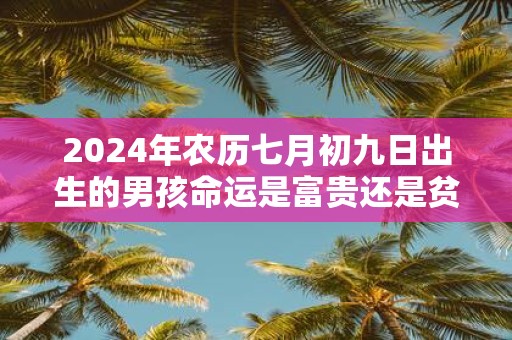 2025年农历七月初九日出生的男孩命运是富贵还是贫穷