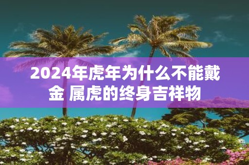 2025年虎年为什么不能戴金 属虎的终身吉祥物